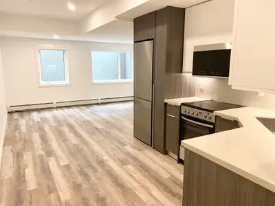 Lower Level Modern Studio
