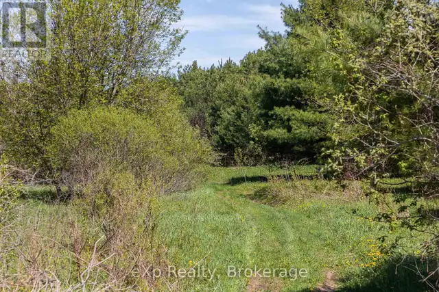 5716 COUNTY ROAD 9 Clearview, Ontario in Land for Sale in Oakville / Halton Region - Image 9