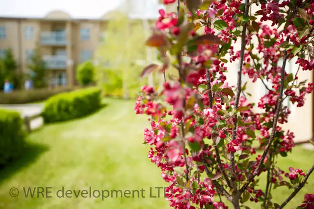 Dawson Trail Apartments: 55+ and Loving it in St. Vital! in Long Term Rentals in Winnipeg - Image 5