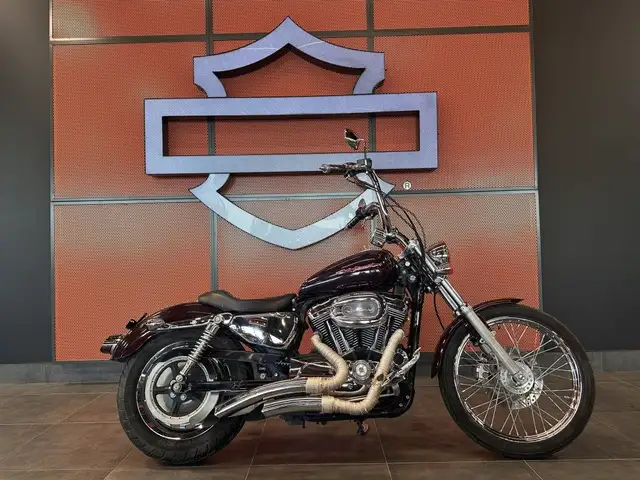 2006 Harley-Davidson 1200 Custom in Sport Bikes in Grande Prairie - Image 2