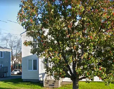 Available Nov 1st~ 1 Bedroom, 1 Bath Apartment in a very well kept building in Dartmouth! White cabi...