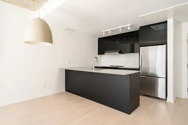 Condo Loft LUXE 5 1/2 (2 floors) for rent - Griffintown62864750454531121