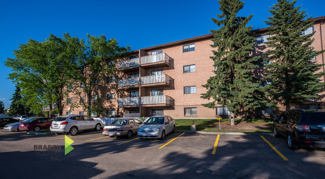 Castle Harbour - 2 Bedroom Apartment for Rent in Long Term Rentals in Edmonton - Image 4