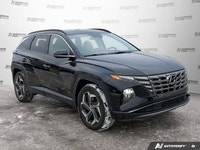 BLACK, LEATHER SEAT TRIM, ASH BLACK, Wireless Phone Connectivity, Wheels: 19 x 7.5J Aluminum, Wheels... (image 7)