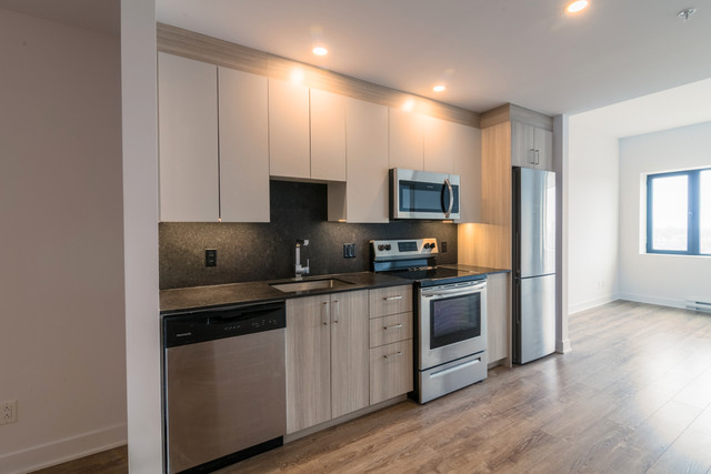one bedroom appartment in Plateau - ID 2740 dans Locations longue durée  à Ville de Montréal