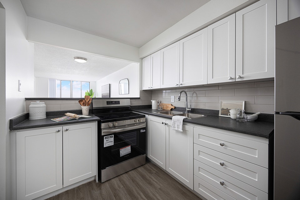 2 Bedroom Apartment for Rent - 440 McMurchy Avenue South 4