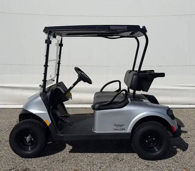 2026 E-Z-GO RXV 2 Valor S EX1-Platinum golf carts in ATVs in Vernon - Image 2