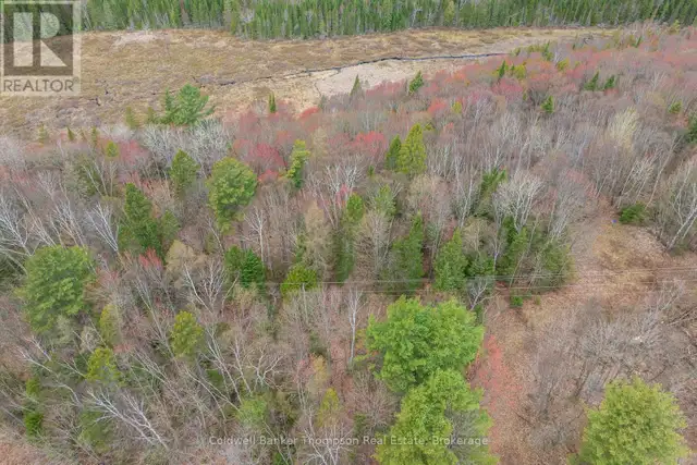 1764 518 HIGHWAY W McMurrich/Monteith (McMurrich), Ontario in Land for Sale in Muskoka - Image 8