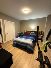 Utilities Included! - One Bedroom Apartment in Downtown Halifax