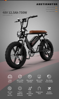 750W Fat Tire Off Road  Retro Ebike Free Shipping Warranty