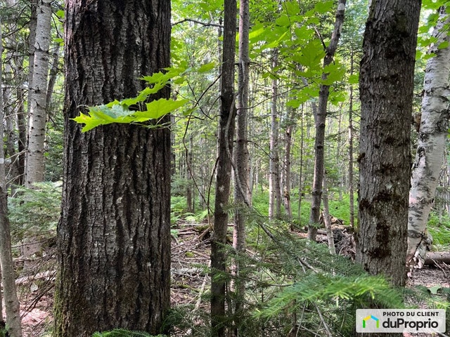 $86,000 - Residential Lot for sale in St-Magloire-De-Bellechasse — photo 3
