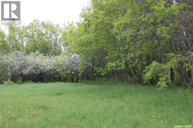730 Broadway STREET W Orkney Rm No. 244, Saskatchewan in Land for Sale in Regina - Image 10