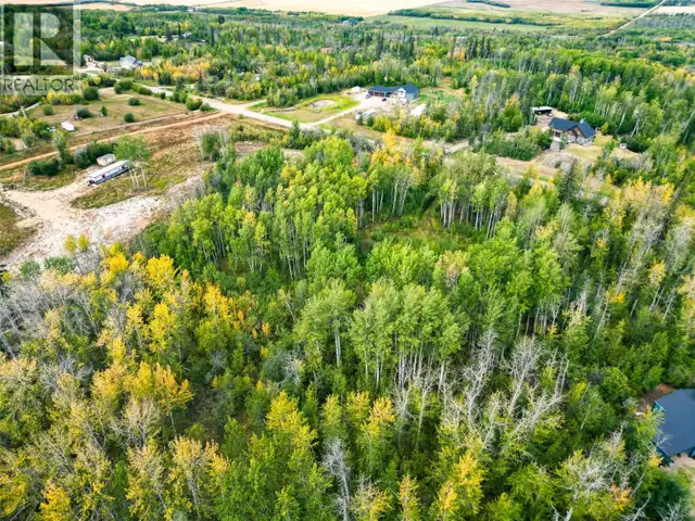 Lot 4 203 Road Dawson Creek, British Columbia in Land for Sale in Dawson Creek - Image 7