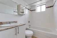 2 Bed, 1 Bath, Newly Renovated Kitchen with Stainless Steel Appliances with Amazing Amenities, Spect... (image 6)