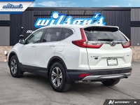 Check out this certified 2019 Honda CR-V LX AWD | Adaptive Cruise | Heated Seats | Remote Start | Ca... (image 2)