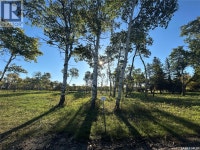 Unit 15 Estates at Fieldstone Grove Moosomin Rm No. 121, Saskatc Regina Regina Area Preview