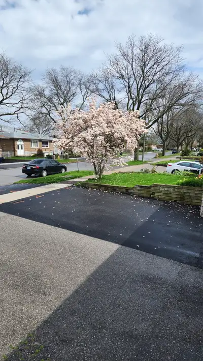 Have a nice furnished room from $900 for one. Two people is $200 extra. Utilities and Internet inclu...