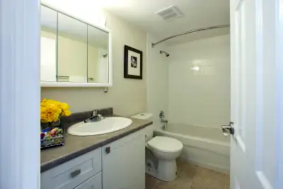 1 Bedroom Apartment for Rent Bathurst /Steeles in North York!, View more