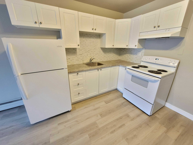 Albert Park Apartment For Rent | Par 2915 in Long Term Rentals in Regina - Image 4