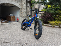 1500W Fat Tire Mountain Bike 67 km/h Free Shipping Warranty