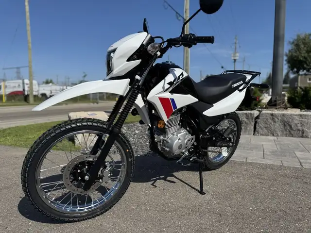 2025 Honda XR150L Standard in Street, Cruisers & Choppers in Kitchener / Waterloo - Image 8