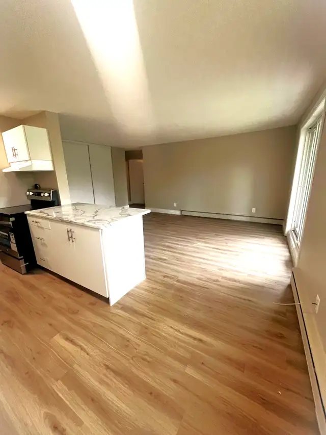 1 Month Free | Renovated 1-Bedroom | In-Suite Laundry | Balcony in Long Term Rentals in Sarnia - Image 6