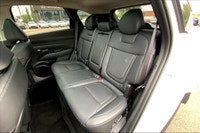 1.6 L 4 Cyl Engine Vehicle Options: Leather Interior, Panoramic Roof, 360 Degree Camera, Heads-up Di... (image 9)