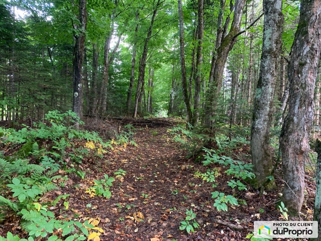 $219,000 - Residential Lot for sale in Morin-Heights — photo 1