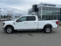 There is a reason the F-150 dominates Vancouver Island job sites and back roads. It is built for peo... (image 6)