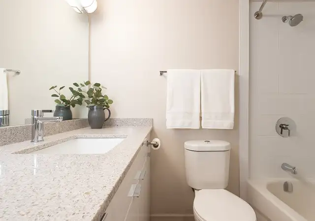 Luxury 1 bedroom suites in Metrotown in Long Term Rentals in Burnaby/New Westminster - Image 8
