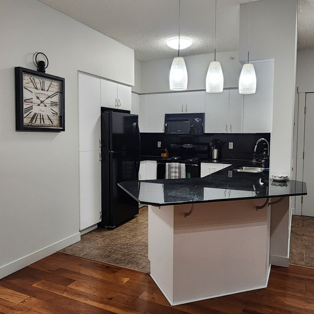 Beautiful Fully Furnished Condo Great Short Term Rental Calgary in Short Term Rentals in Calgary