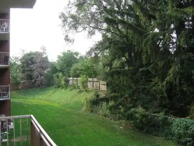 2 Bedroom Apartment in Guelph in Long Term Rentals in Guelph - Image 8