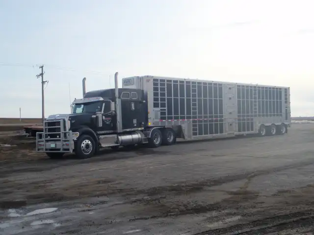 Owner Operator - Livestock Division in Drivers & Security in Moose Jaw - Image 13