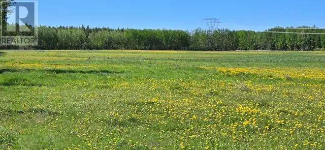 Highway 20 Rural Ponoka County, Alberta62865715058563124