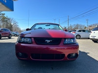 WHY THIS COBRA IS NEXT LEVEL: SVT COBRA TERMINATOR Supercharged, iconic, and getting harder to find... (image 2)