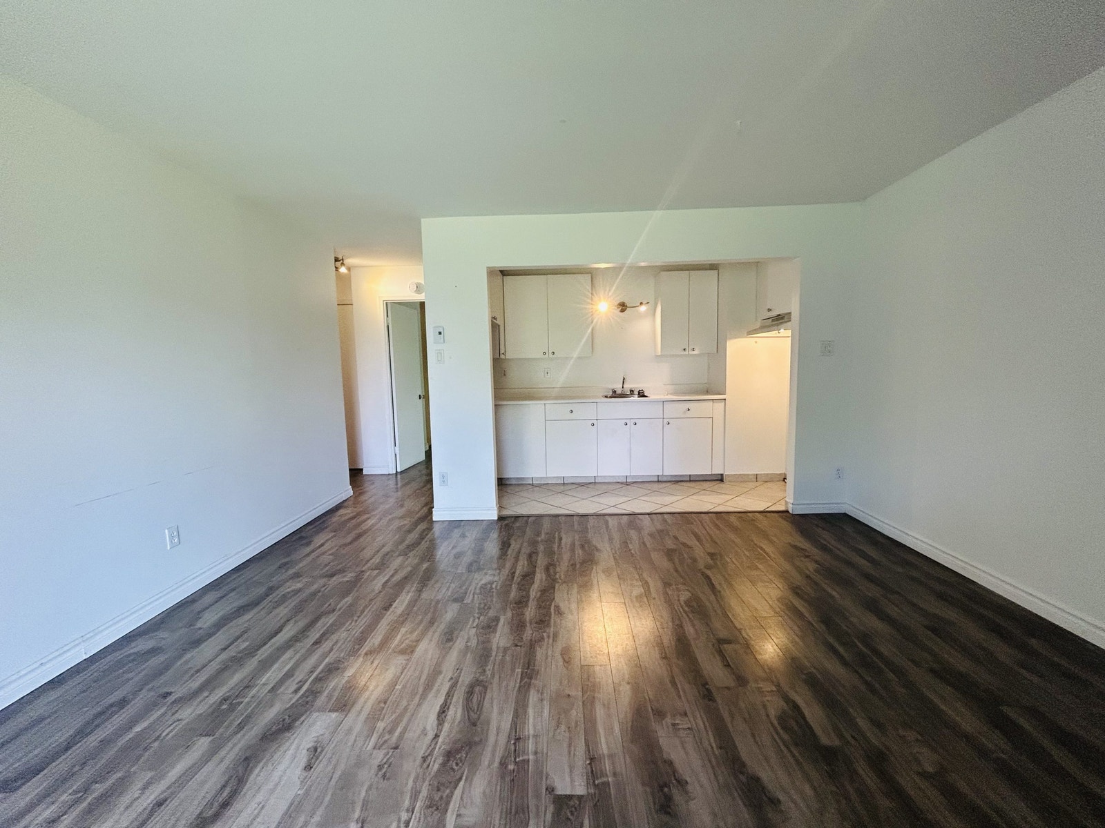 1017 Av. Duchesneau — photo 1