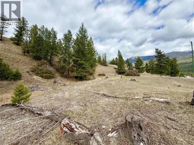 2400 KOOTENAY RD NO 3 Road Lot# 2 Windermere, British Columbia in Land for Sale in Cranbrook - Image 17
