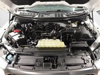 FORD F-150 XLT SUPER CREW 4WD 2023 PACKAGE SPORT 302A / FX4 V8 5.0L Toit Panoramique 1 Proprio Jamai... (image 8)