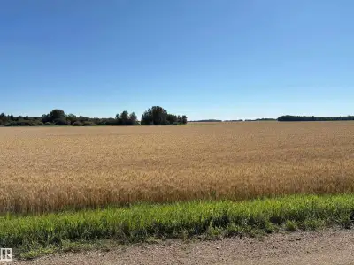 Another great place to build your dream home. NOT IN A SUBDIVISION (id:24493) MLS® #E4452522 The tra...
