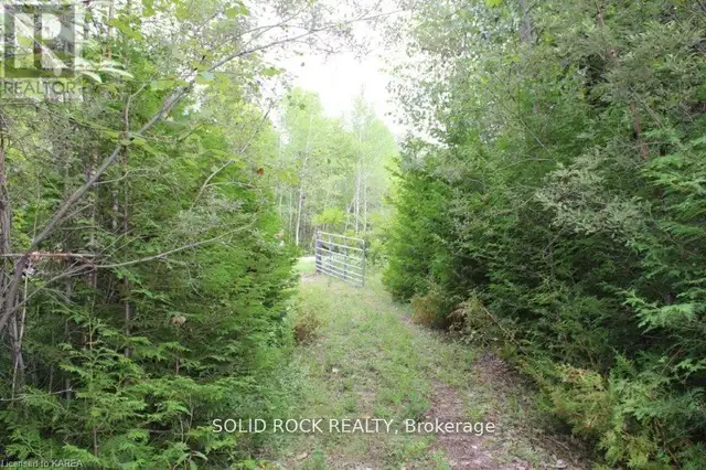 2209 JOCHEM ROAD Edwardsburgh/Cardinal, Ontario in Land for Sale in Woodstock - Image 4
