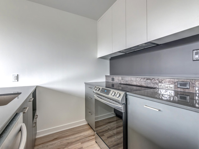 Condo appartement 2cc-2sdb à louer GRIFFINTOWN dans Locations longue durée  à Ville de Montréal - Image 3