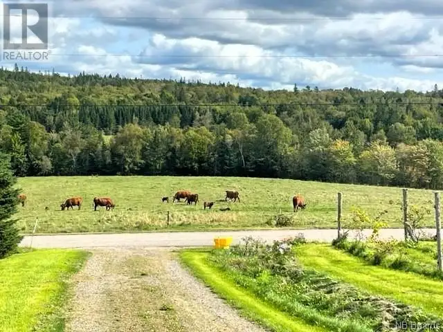 689 Carpenter Bald Hill Road Wickham, New Brunswick in Land for Sale in Saint John - Image 20