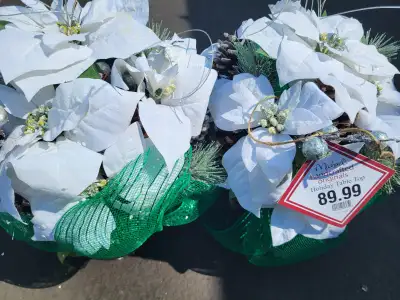 MICHAELS HANDCRAFTED WHITE TABLE TOP POINSETTA ARRANGEMENT, View more