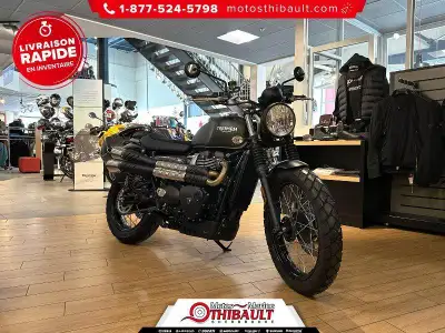 2025 Triumph Scrambler 900 Triumph Scrambler 900 2025 2025 Triumph Scrambler 900 Nous payons le meil...