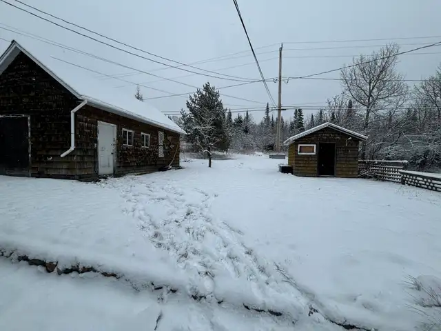 Photo 8