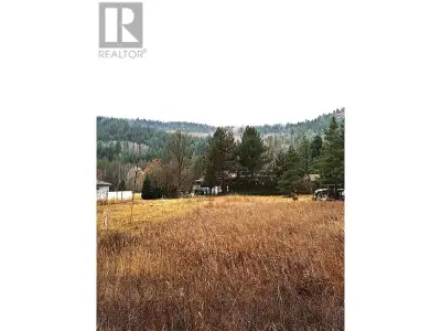 Bright & sunny building lot in Greenwood BC. This parcel is flat and ready to build on with power an...