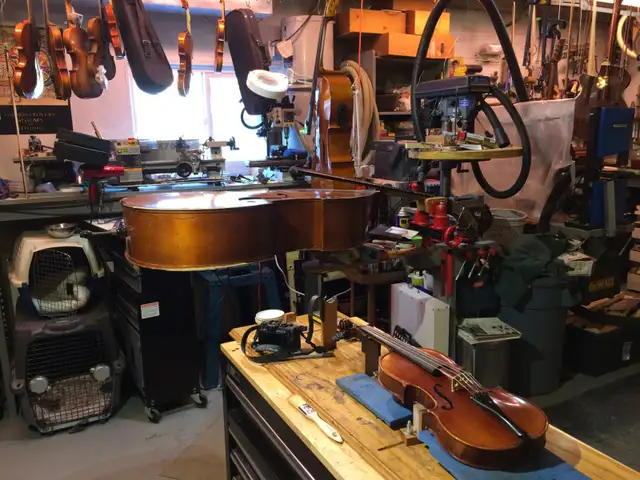 Violin, cello and string instrument Luthier550222902529239045
