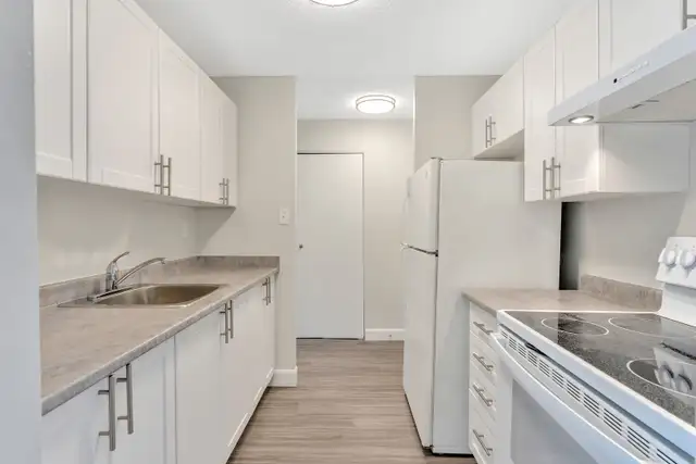 Kingston 2 Bedroom Apartment for Rent: in Long Term Rentals in Kingston - Image 8