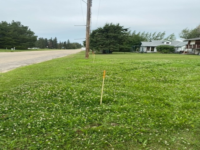 Double lot in Thorsby! in Land for Sale in Edmonton - Image 3