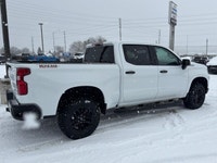 Trail Boss, Low Km's, 5.3L, Dark Essentials Pkg, Black Assist Steps, Tow Pkg W/Trailer Brake Control... (image 7)
